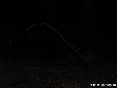 2011_06_02 Waldbrand Kummel Richtung Bismarkturm 13